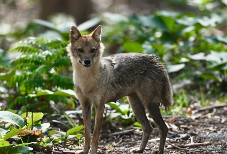 6N/7D Uttarakhand tour from Delhi - Nainital